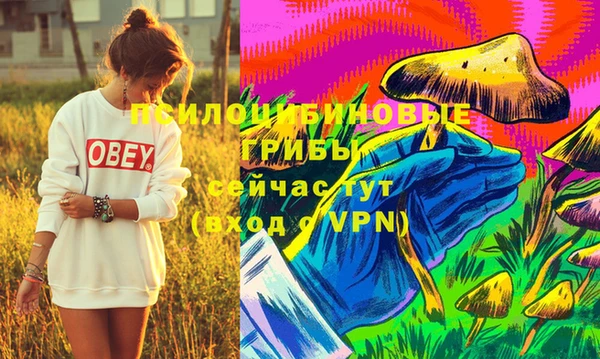 дживик Бронницы