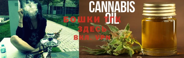 экстази Бородино