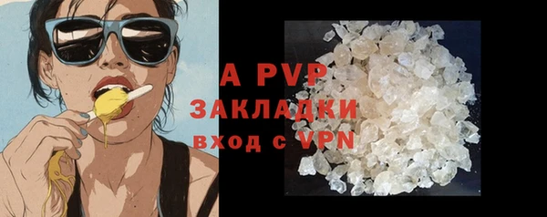 экстази Бородино