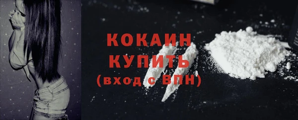 экстази Бородино