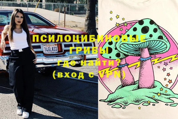 экстази Бородино