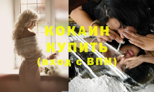 дживик Бронницы