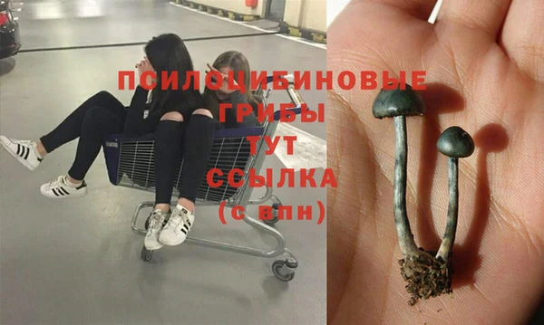 jwh Верхний Тагил