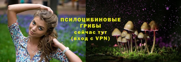 соль ск Бугульма