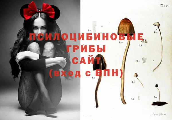 дживик Бронницы